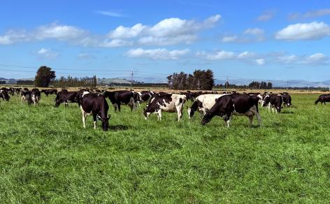 867 Hundred Line Road East