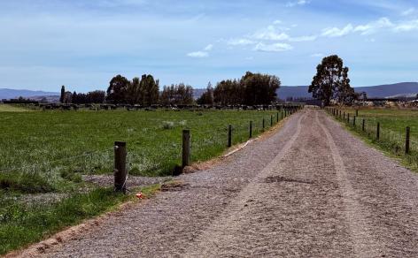 867 Hundred Line Road East