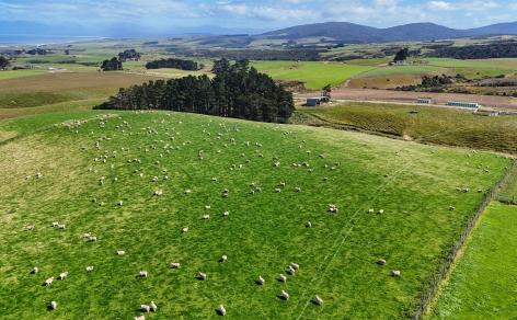 330 and 380 Falls Creek Road