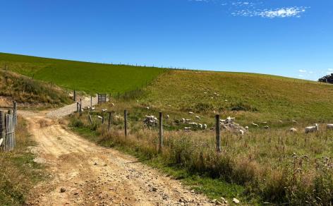 330 and 380 Falls Creek Road