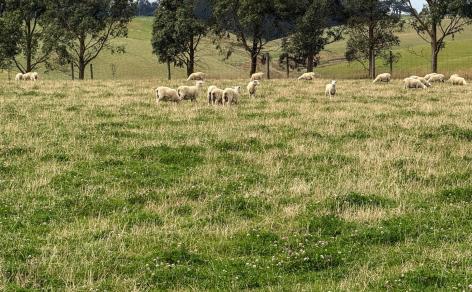 10 Four Mile Creek Road