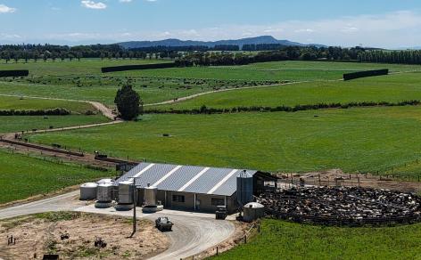 251 Rakahouka Hedgehope Road