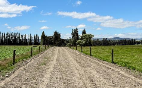 251 Rakahouka Hedgehope Road