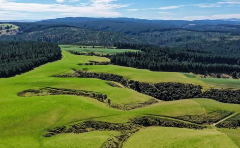 759 Waitahuna Gully Road