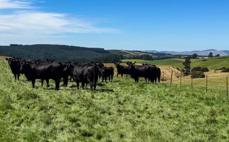 759 Waitahuna Gully Road