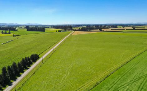 486 Irving Road and 150 Angle Road