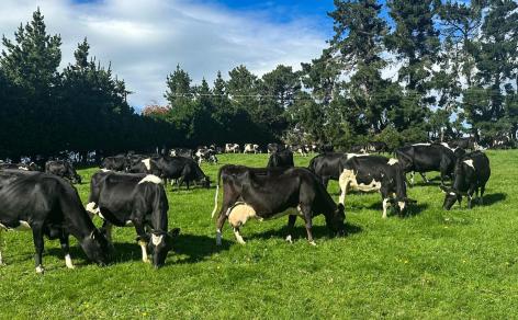 321-349 Chittock Road