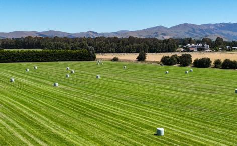588 Freshford Plains Station Road