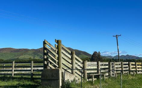 1433 Lumsden Dipton Highway 