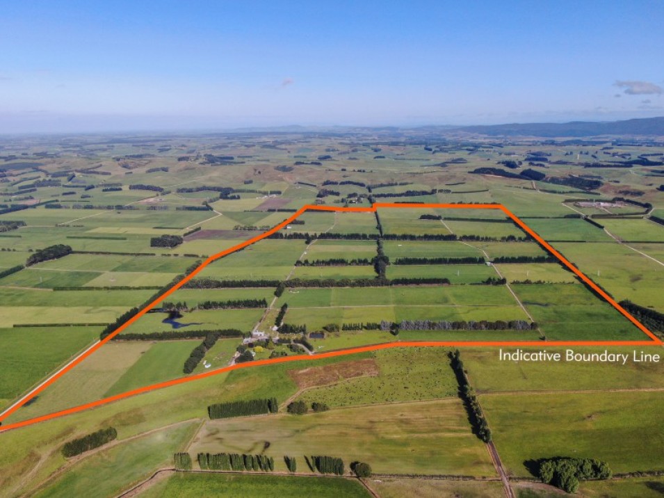 119 Terrace Road, Brydone