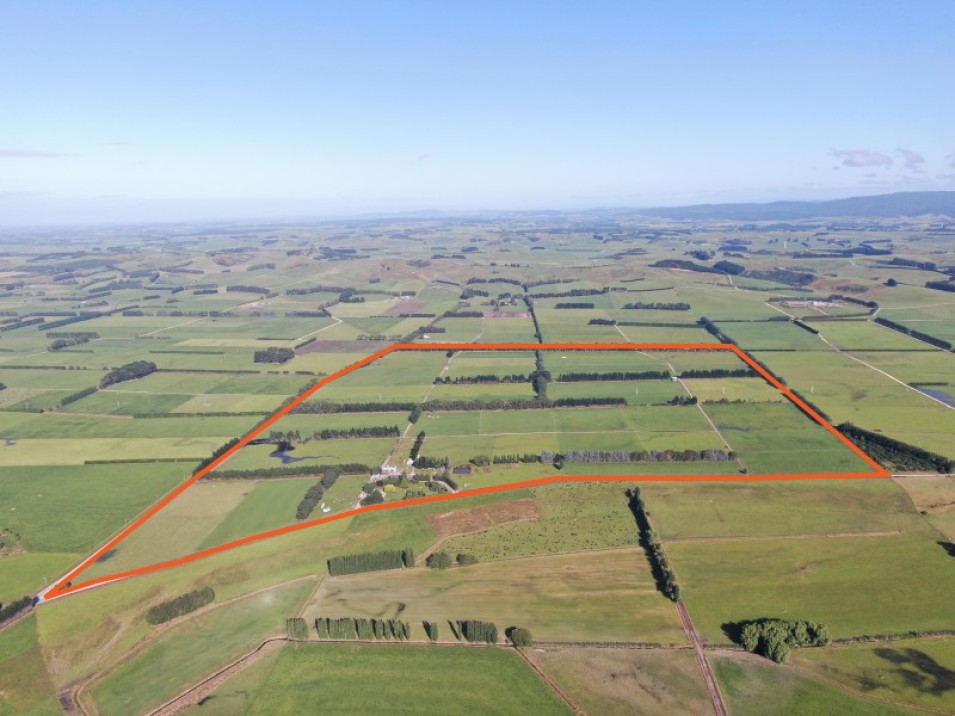 119 Terrace Road, Brydone