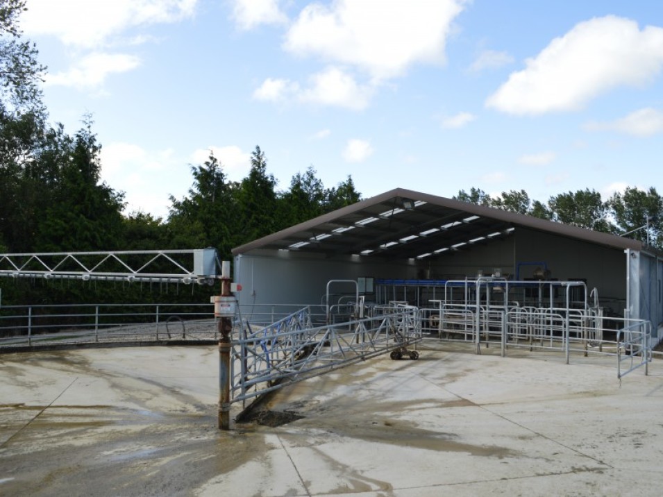 119 Terrace Road, Brydone