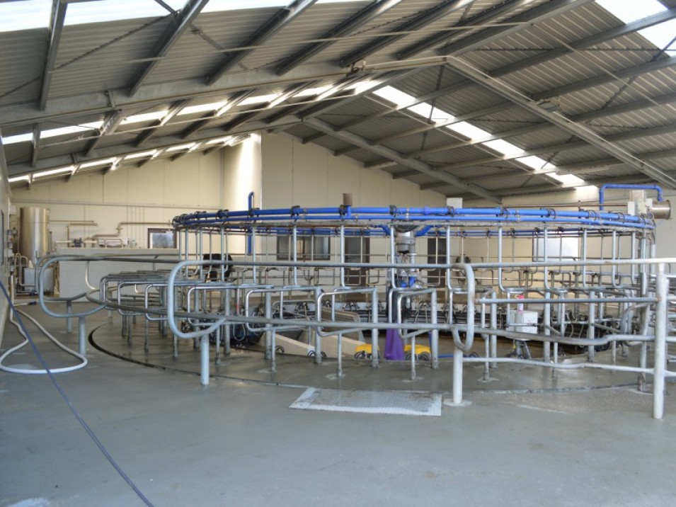 119 Terrace Road, Brydone