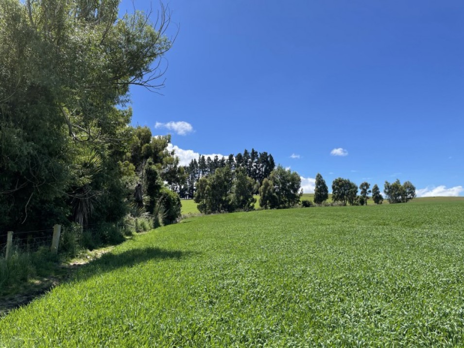 684 Longridge Road, Longridge