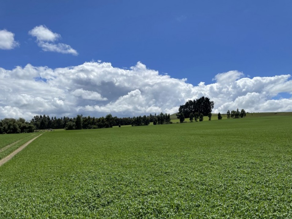 684 Longridge Road, Longridge