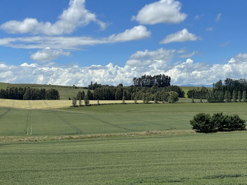 684 Longridge Road, Longridge