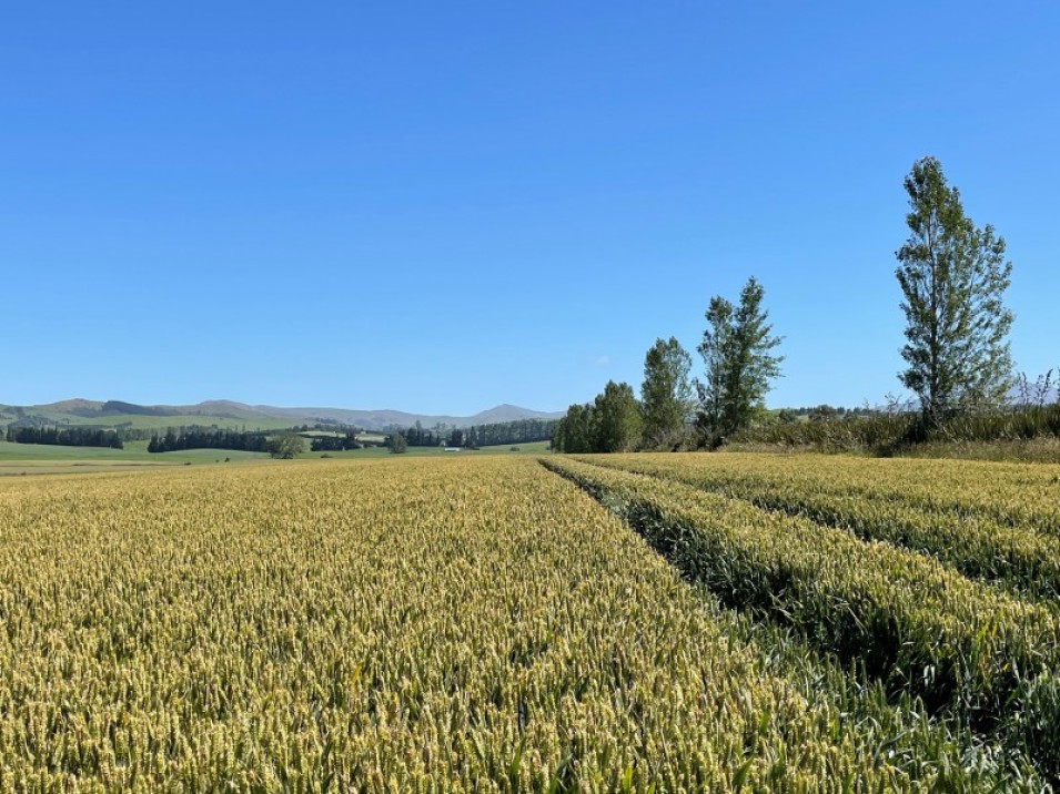 684 Longridge Road, Longridge