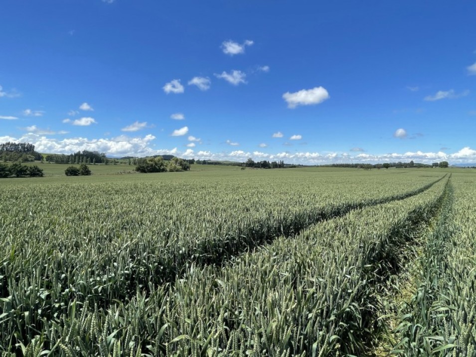 684 Longridge Road, Longridge