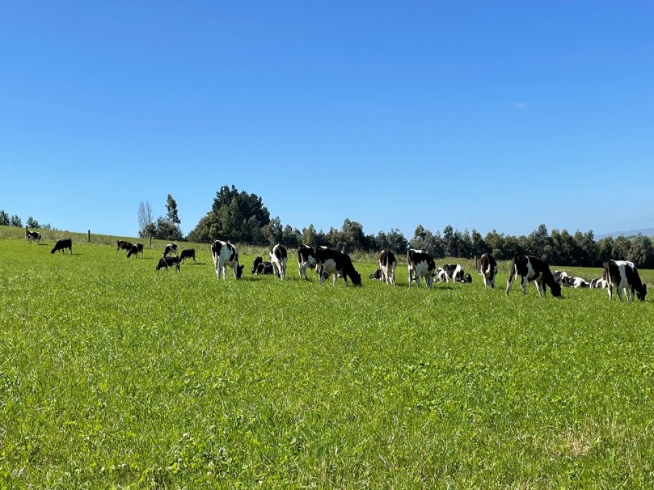 684 Longridge Road, Longridge