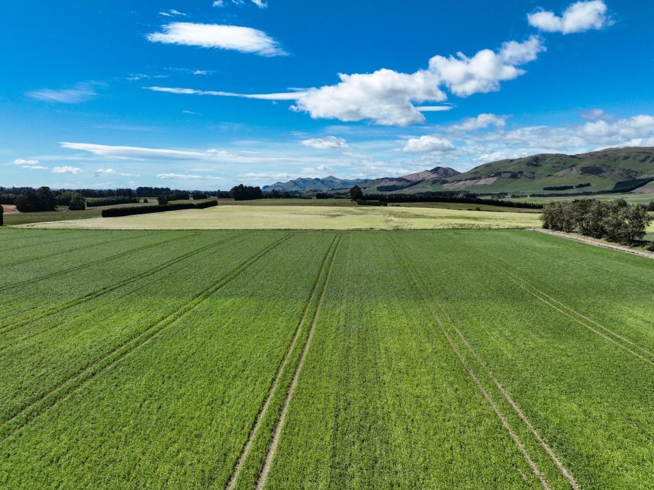 909 Nine Mile Road, Riversdale