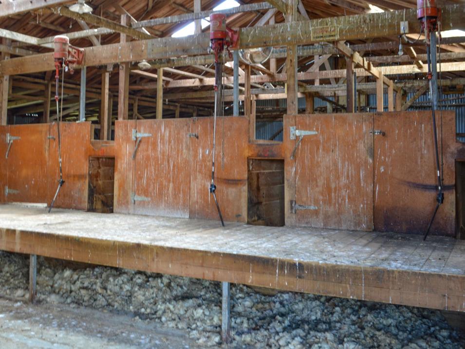 909 Nine Mile Road, Riversdale