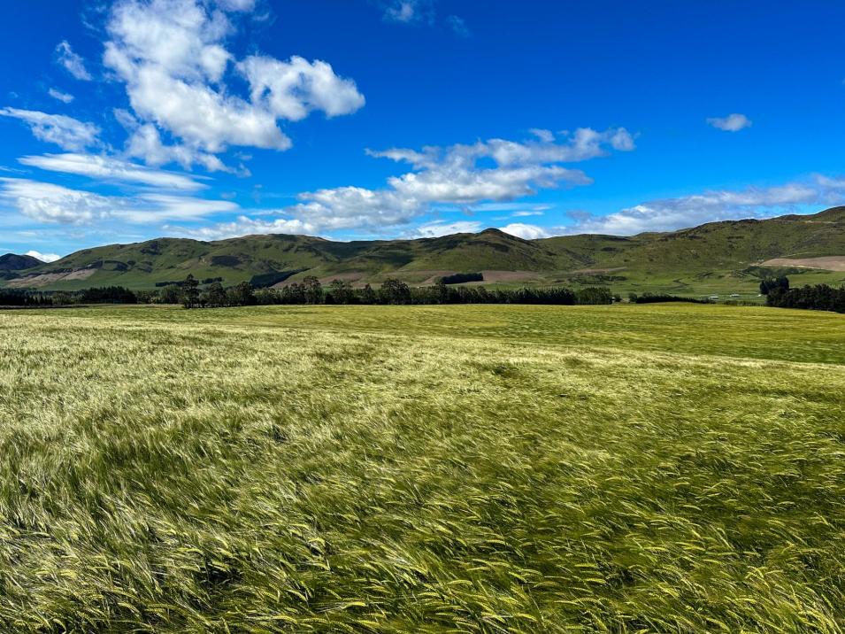 909 Nine Mile Road, Riversdale