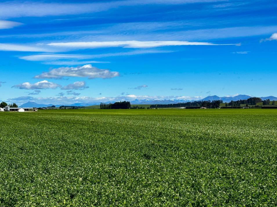 909 Nine Mile Road, Riversdale