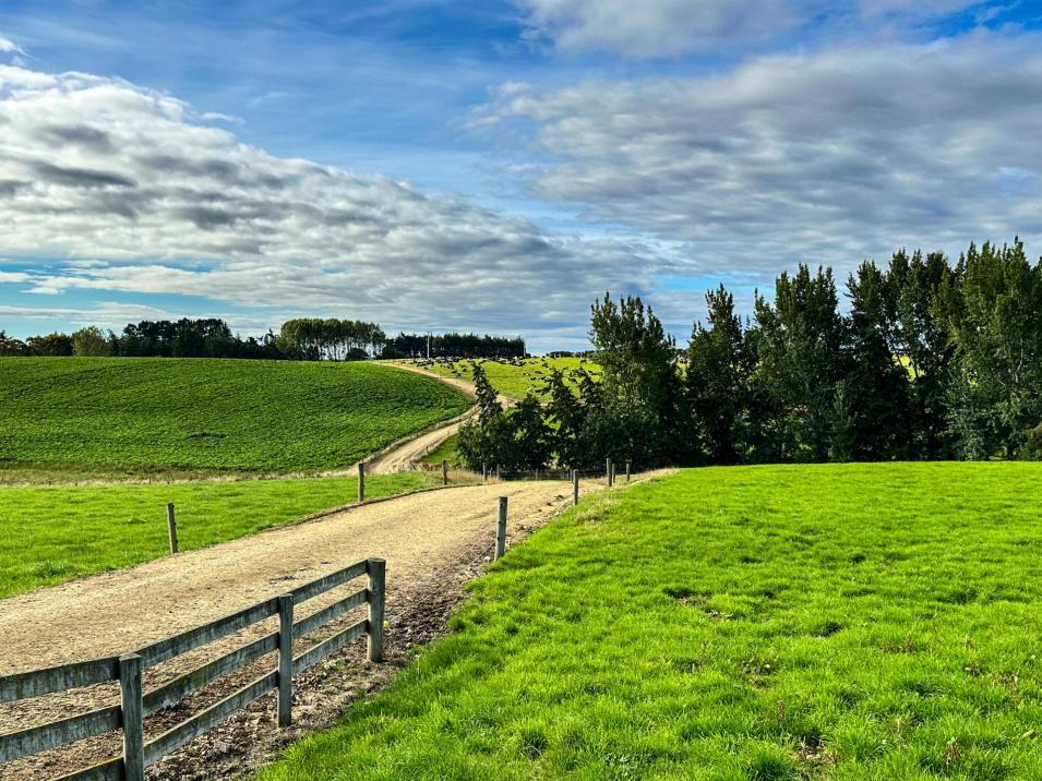 298 Pryde Road and 394 Chittock Road, Maitland