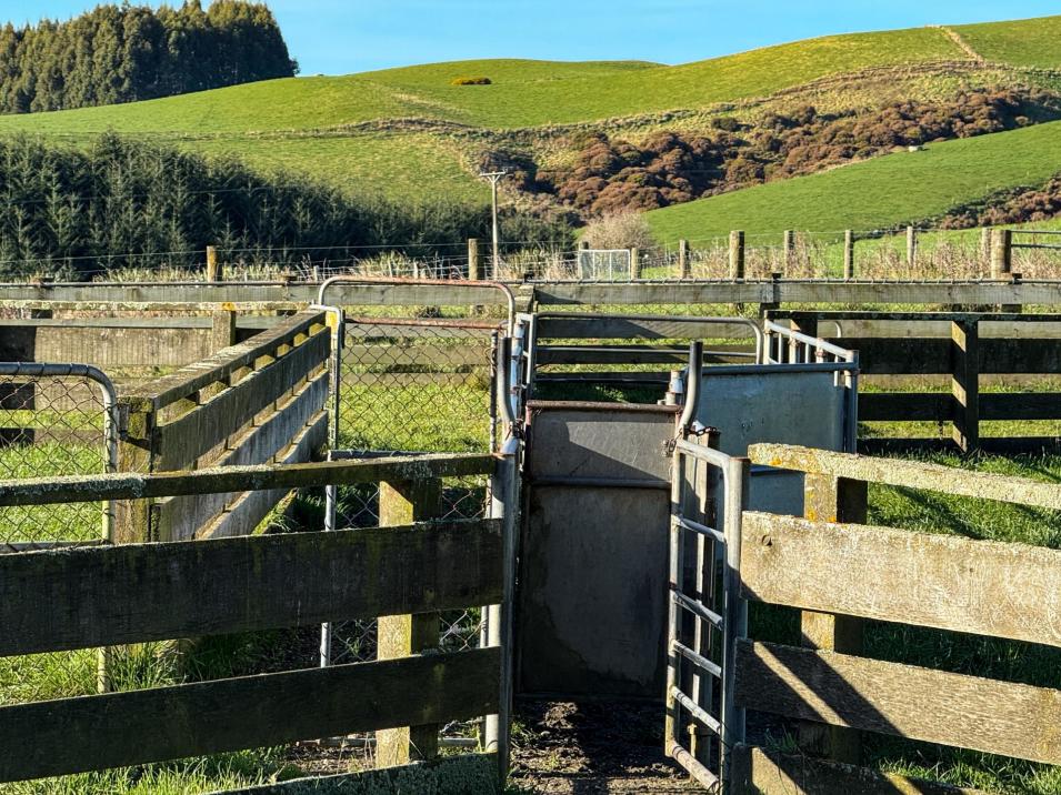 164 Waddle Road, Mataura