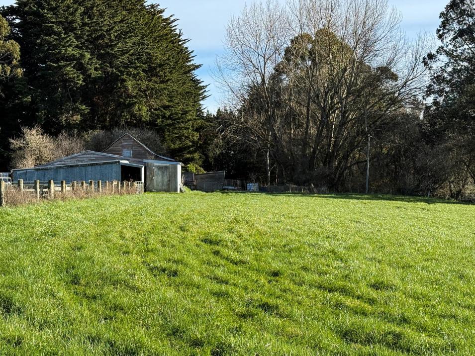 164 Waddle Road, Mataura