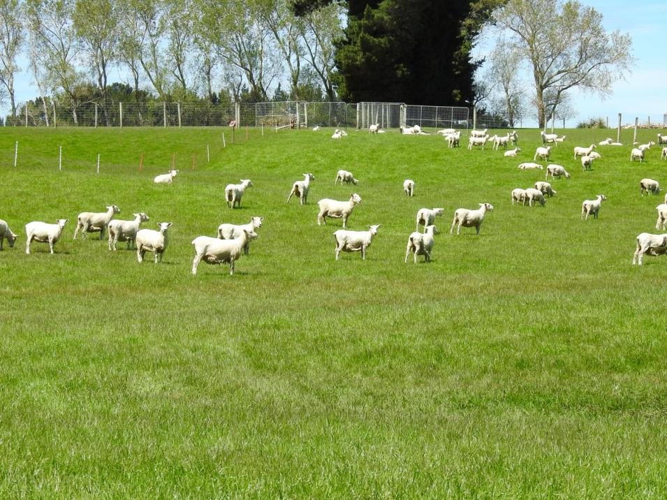 177 Otautau Tuatapere Road, Otautau