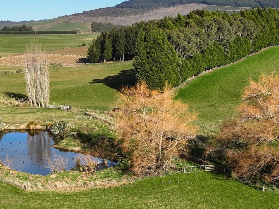 Otautau