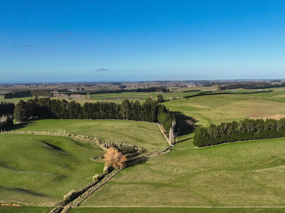 Otautau