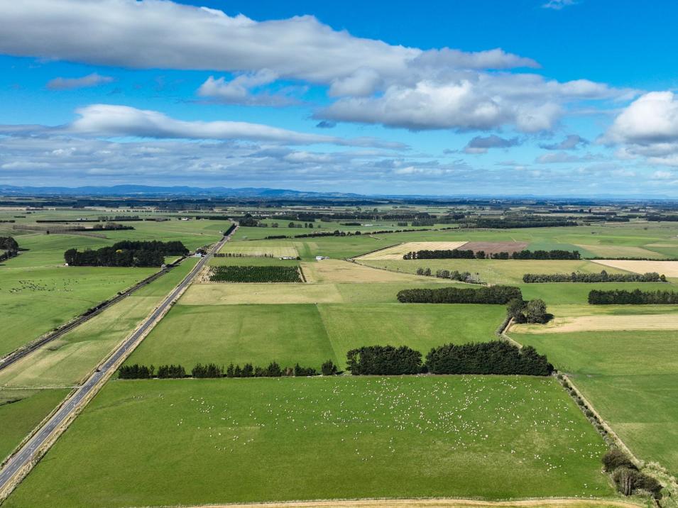 495. Thornbury Waimatuku Road, Thornbury