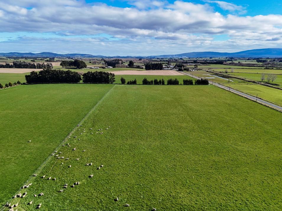 495. Thornbury Waimatuku Road, Thornbury
