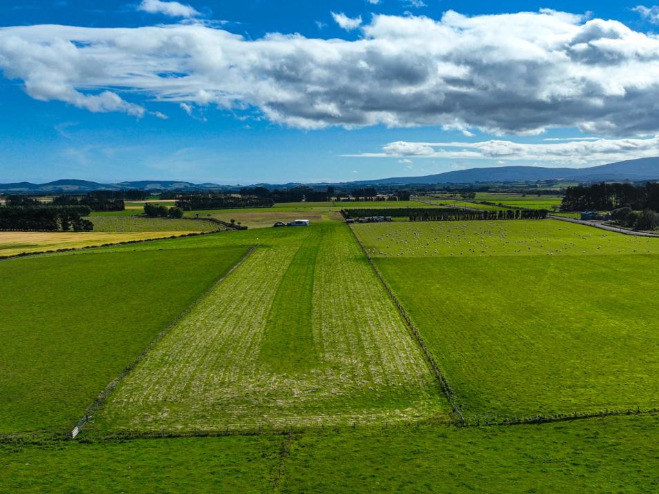 495- Thornbury Waimatuku Road, Thornbury