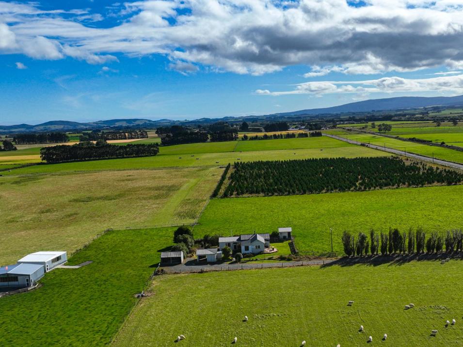495- Thornbury Waimatuku Road, Thornbury