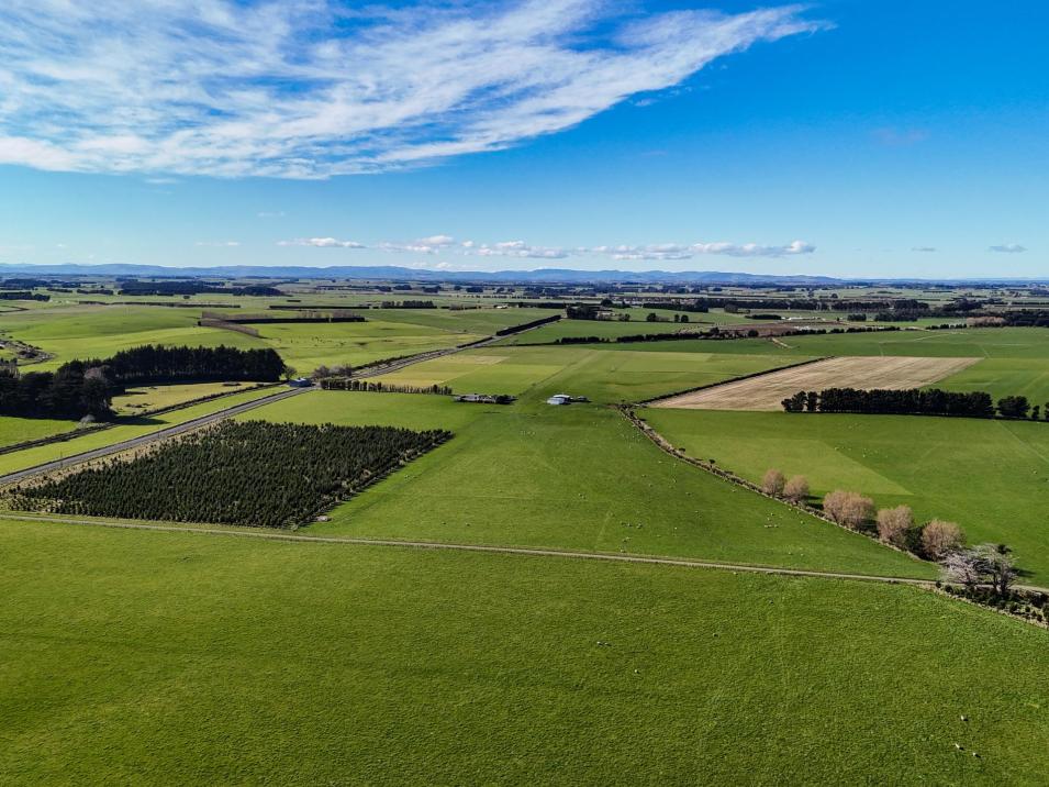 495- Thornbury Waimatuku Road, Thornbury