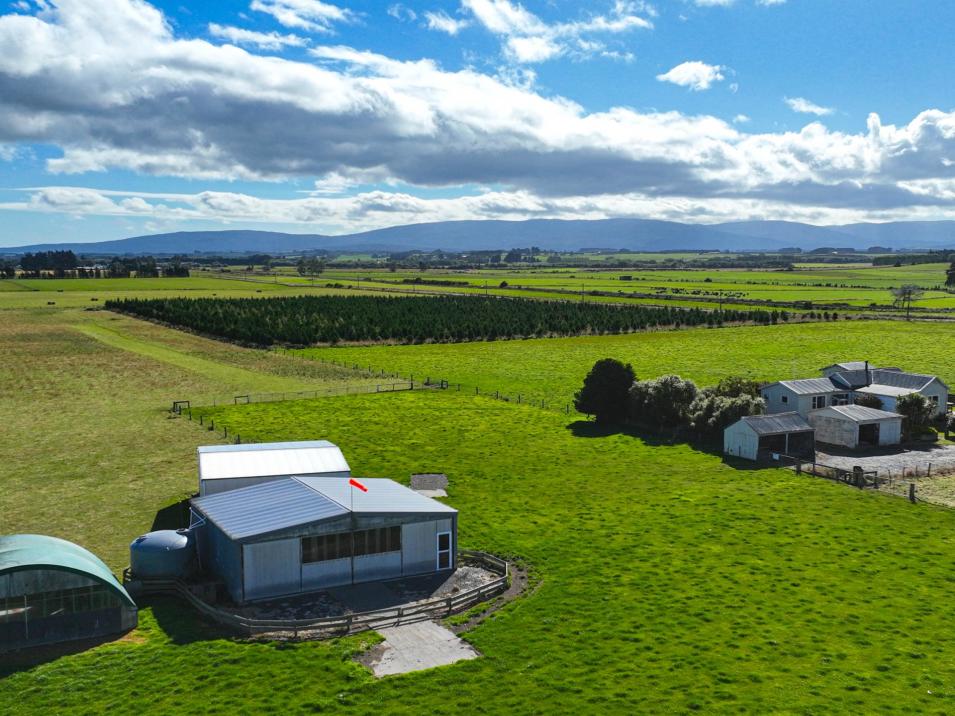 495- Thornbury Waimatuku Road, Thornbury