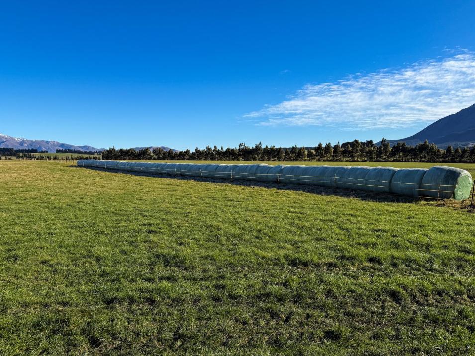 199 Mossburn-Five Rivers Road, Mossburn