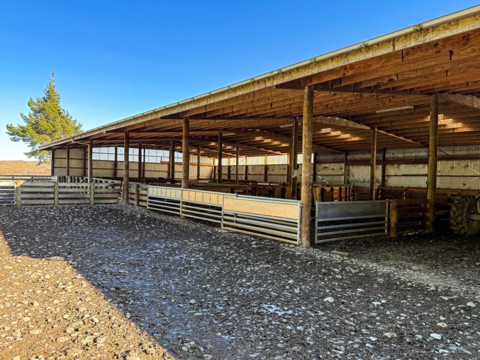 199 Mossburn-Five Rivers Road, Mossburn