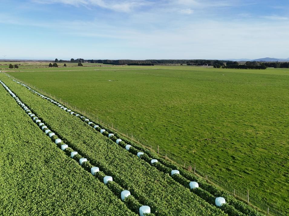 427 + 585 Marshall Road, Awarua