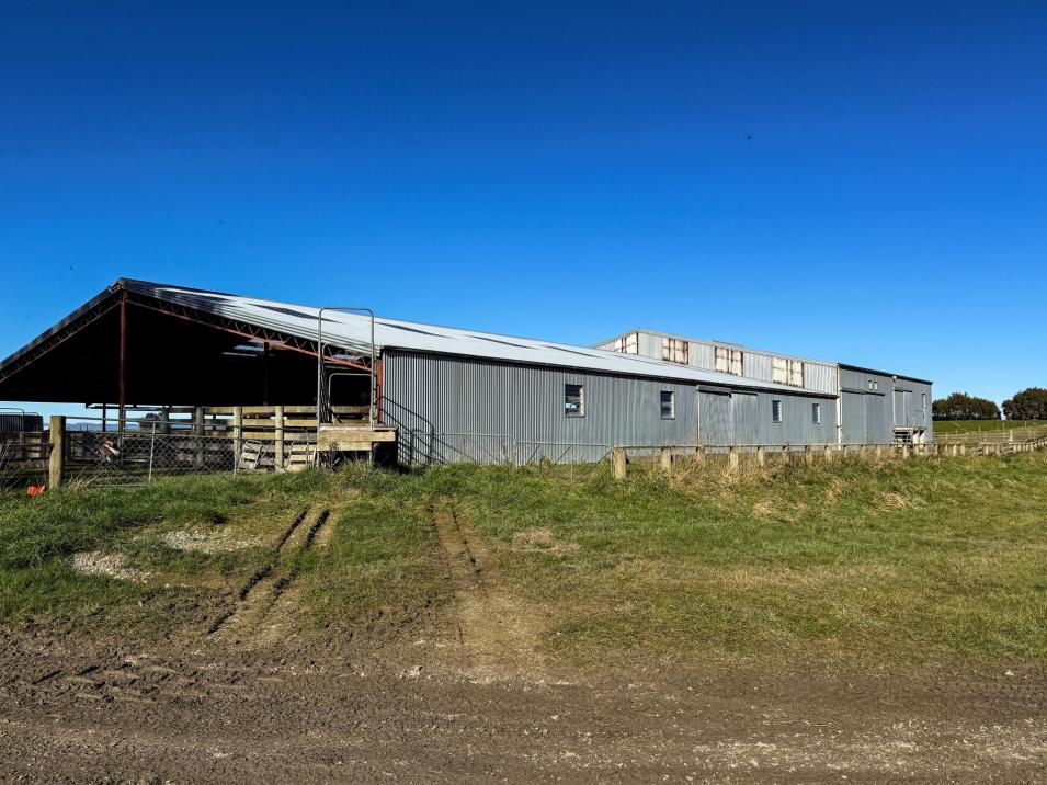 200 Cunningham Road, Waikaka Valley