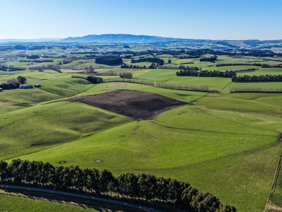 200 Cunningham Road, Waikaka Valley