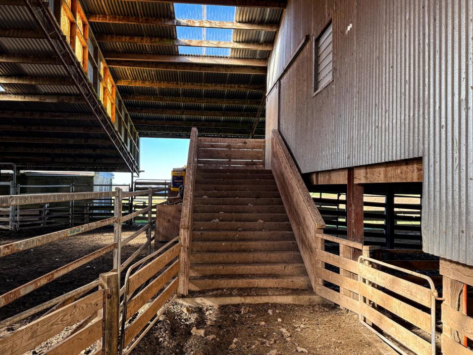 200 Cunningham Road, Waikaka Valley
