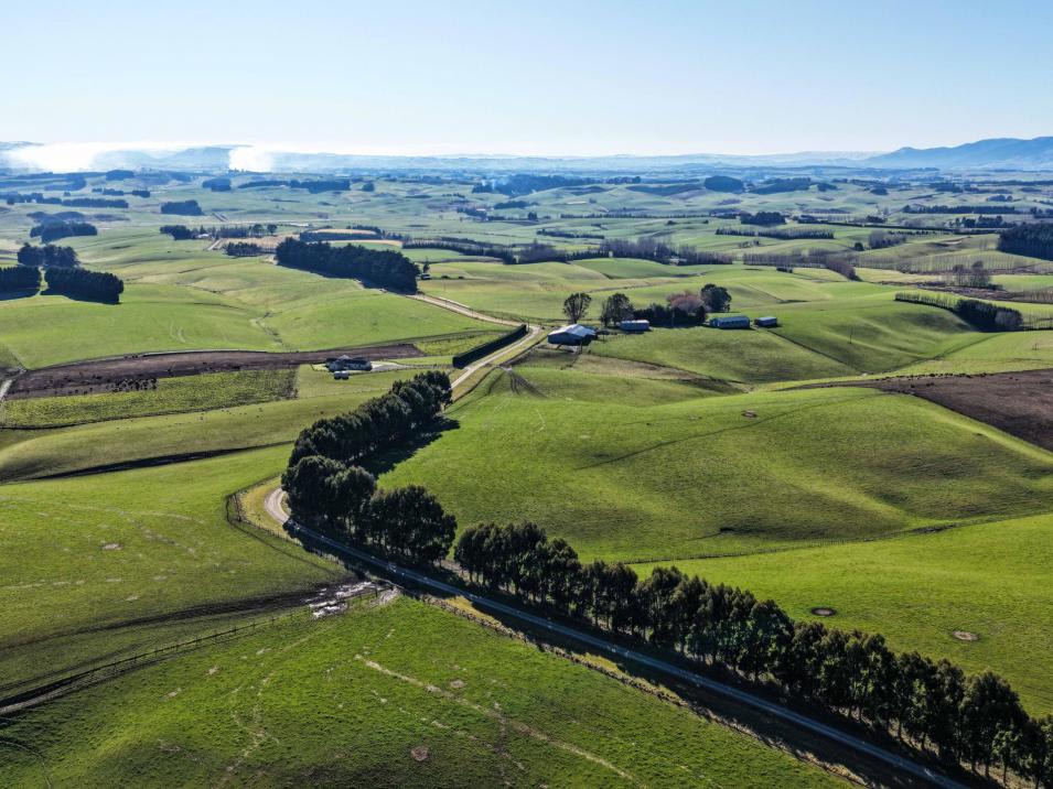 200 Cunningham Road, Waikaka Valley