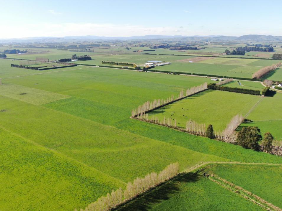 99 Calder Road, Lochiel