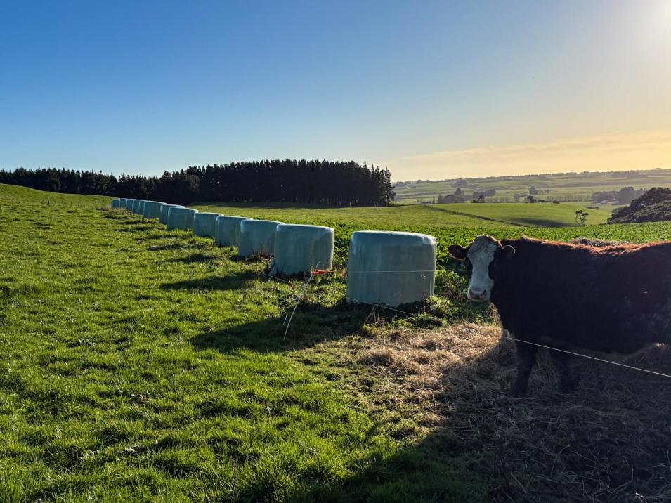 92 Carnie Road, Mataura Island