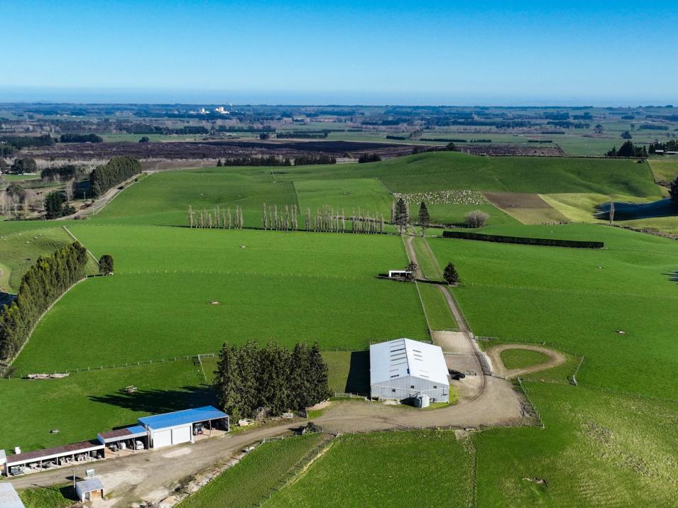 125B Davidson Road, Mimihau