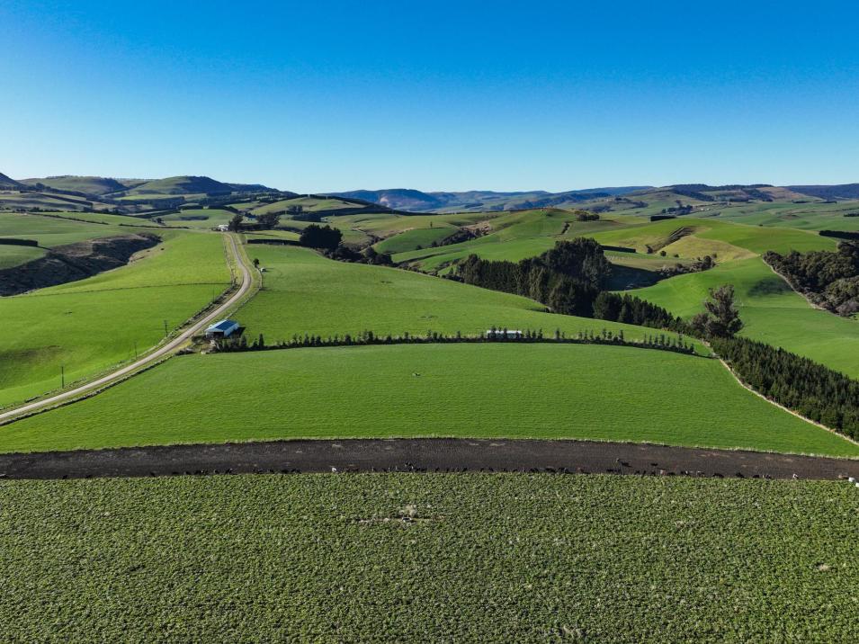 125B Davidson Road, Mimihau